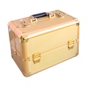 Golden Makeup Case [S2409P04]