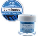 Bling Girl Luminous Acrylic Powder Nail Art System 10g #023 [3173]