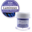 Bling Girl Luminous Acrylic Powder Nail Art System 10g #024 [3173]